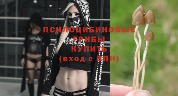 бошки Снежинск