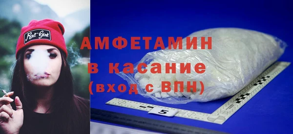 сатива Снежногорск