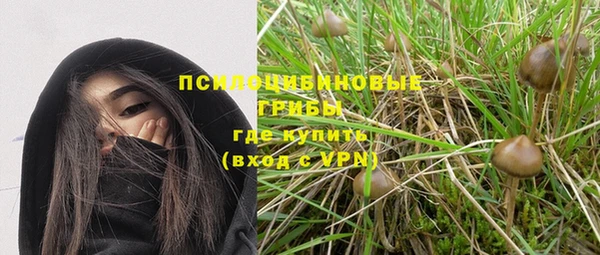 сатива Снежногорск