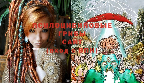 сатива Снежногорск