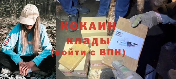 соль ск Сосновый Бор