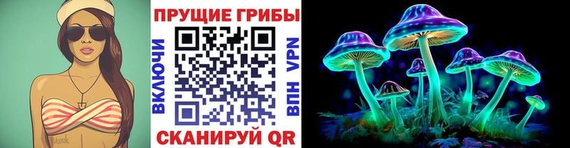 Галлюциногенные грибы Cubensis  Саратов 