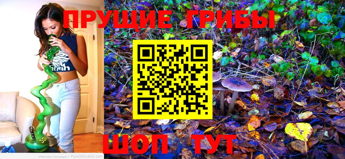 Codein Саратов